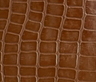 Miel Tortuga